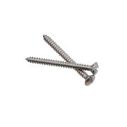 Саморез для установки с выключателями и изоляторами, металл, цвет хром (2 шт/уп) B-913-30-2