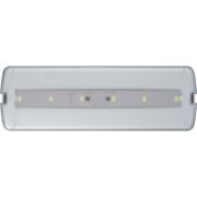 Светильник светодиодный 95 294 NEF-21 5Вт 300лм 220-240В IP20 акк. LiFePO4 1800мА.ч аварийно-эвакуационный NAVIGATOR 95294