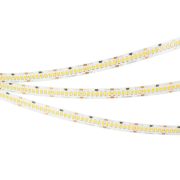 Лента светодиодная RT-A252-10mm 24V White 6000К 11Вт/м IP20 2835 (уп.5м) Arlight 022648(2)