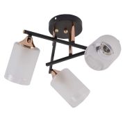 Люстра Fiona 3163-303 3хЕ27 60Вт модерн Rivoli Б0059259