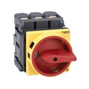 Выключатель-разъединитель 3п 80А IP20 с красн. рукоят. на дверцу 4 винтами с замком SE MSD80310R