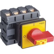 Выключатель-разъединитель 4п 100А IP20 с красн. рукоят. на дверцу 4 винта 1 замок SE MSD100460R