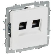 Розетка компьютерная 2-м СП BRITE РК10-2-БрАБ RJ45 кат.5E механизм арктич. бел. IEK BR-K20-1-K91