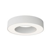 Потолочный светильник Technical C093CL-24W4K-W