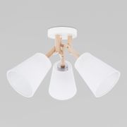 Потолочный светильник