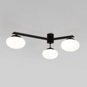 Потолочный светильник со стеклянными плафонами