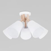 Потолочный светильник