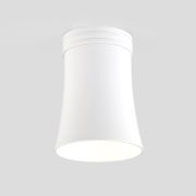 Накладной потолочный светильник