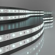 Светодиодная лента 12 В 4,8 Вт/м 60 Led/м 2835 IP20, холодный белый 6500К, 5 м