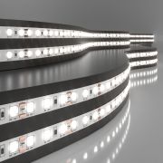 Светодиодная лента 12 В 9,6 Вт/м 120 Led/м 2835 IP20, дневной белый 4200К, 5 м
