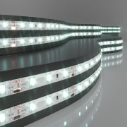 Светодиодная лента 12 В 4,8 Вт/м 60 Led/м 2835 IP65, холодный белый 6500К, 5 м