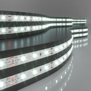 Светодиодная лента 24 В 4,8 Вт/м 60 Led/м 2835 IP20, холодный белый 6500K, 5 м