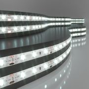 Светодиодная лента 24 В 4,8 Вт/м 60 Led/м 2835 IP65, холодный белый 6500K, 5 м