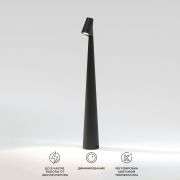 Светильник светодиодный настольный Elite черный