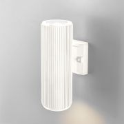 Уличный настенный светильник Strict IP54