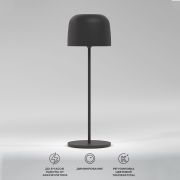 Светильник светодиодный настольный Bitty черный IP54