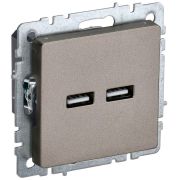 Розетка BRITE USB A+A 3.1А РЮ10-1-БрШ механизм шампань IEK BR-U21-D31-K37